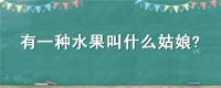 有一种水果叫什么姑娘？