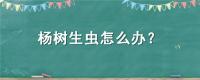 杨树生虫怎么办？