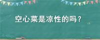 空心菜是凉性的吗？
