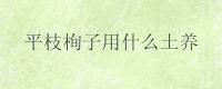 平枝栒子用什么土养？