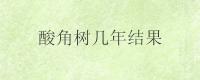 酸角树几年结果