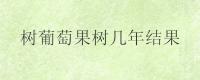 树葡萄果树几年结果