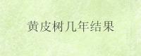 黄皮树几年结果