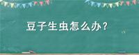 豆子生虫怎么办？