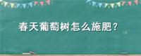春天葡萄树怎么施肥