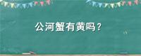 公河蟹有黄吗？