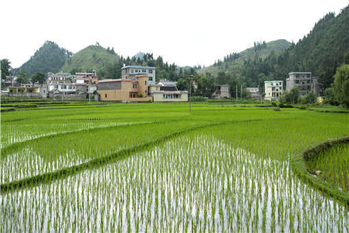 河南孟州市供给侧改革构建现代农业发展