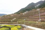 美丽乡村建设何时提出？建设标准、必要性、意义分别是什么？