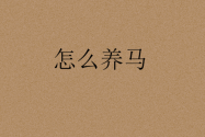 怎么养马