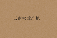 云南松茸产地是哪里？