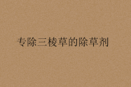 专除三棱草的除草剂有哪些？