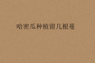 哈密瓜种植留几根蔓