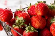 “春天第一果”草莓对孕妇有哪些好处？吃法和食用禁忌有哪些？什么人不能吃？