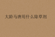 大龄马唐用什么除草剂