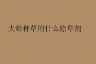 大龄稗草用什么除草剂