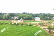 马蹄别名叫什么？价格大概多少钱一斤？种植方法要点有哪些？