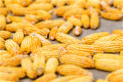 沂南县2018年度小麦、玉米政策性农业保险工作实施方案