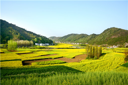 淮滨县土壤环境保护方案