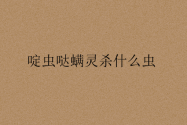 啶虫哒螨灵杀什么虫
