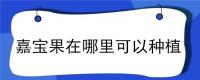 嘉宝果在哪里可以种植