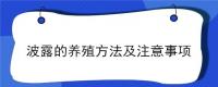 波露的养殖方法及注意事项