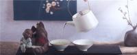 奇兰茶属什么茶