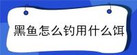 黑鱼怎么钓用什么饵