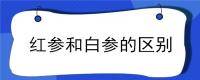 红参和白参的区别