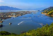土地承包经营权的流转如何进行登记？