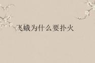 飞蛾扑火是什么意思？为什么要扑火？飞蛾扑火歇后语下一句是什么？
