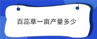 百蕊草一亩产量多少