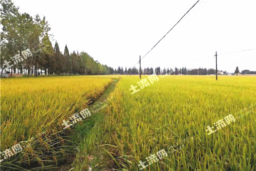 大理宾川县召开16万亩高标准农田建设示范项目工程启动会