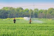 山西出台全国首个《农业生产托管服务规范》，将于8月25日实施！