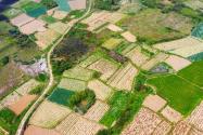 2019年惠州惠阳闲置土地处理意见出台！闲置多久会被回收？