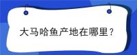 大马哈鱼产地在哪里？