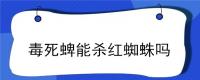毒死蜱能杀红蜘蛛吗