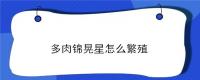 多肉锦晃星怎么繁殖