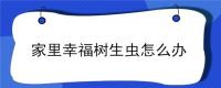 家里幸福树生虫怎么办