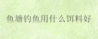 鱼塘钓鱼用什么饵料好