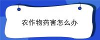 农作物药害怎么办