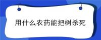用什么农药能把树杀死
