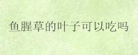 鱼腥草的叶子可以吃吗