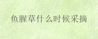 鱼腥草什么时候采摘