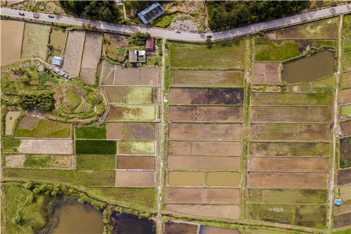 关于印发《泸溪县土壤污染防治工作方案》的通知