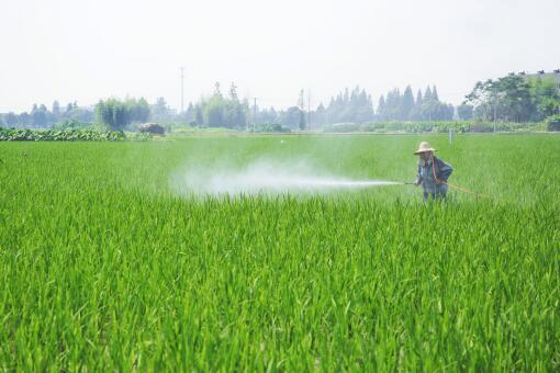 关于印发闽清县推进农业水价综合改革实施方案的通知