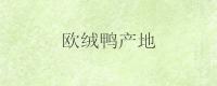 欧绒鸭产地