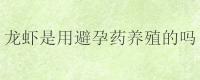 小龙虾是用避孕药养殖的吗