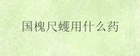 国槐尺蠖用什么药