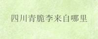 四川青脆李来自哪里