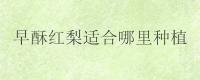 早酥红梨适合哪里种植